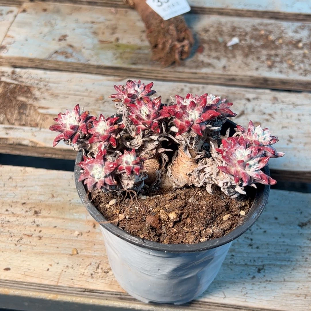 335哈哈哈哈哈哈哈哈