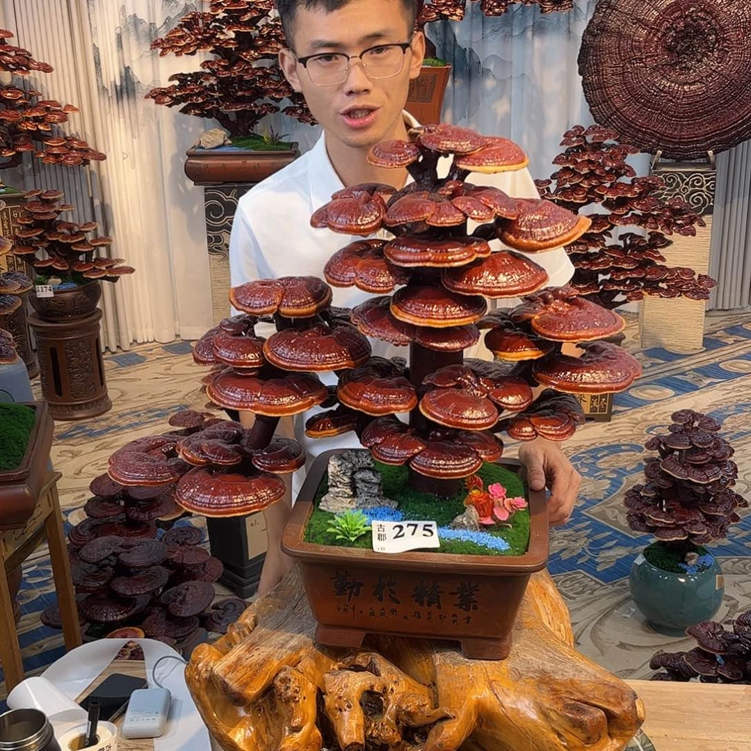 无花朵8888888888888