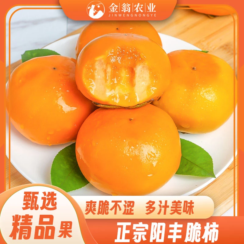 （定制彩箱）新鲜应季巧克力脆甜柿子现摘硬柿子口感脆甜柿子脆甜