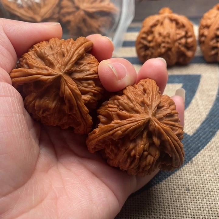 君***主核桃白狮子45核桃