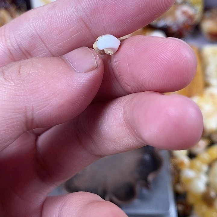 琥珀未镶嵌裸石我