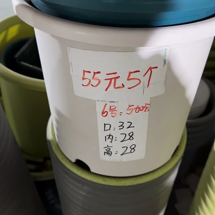 四季6号新灰白无托7个特价