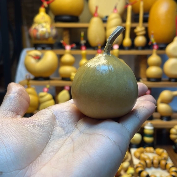 朝***）天然葫芦自然生长