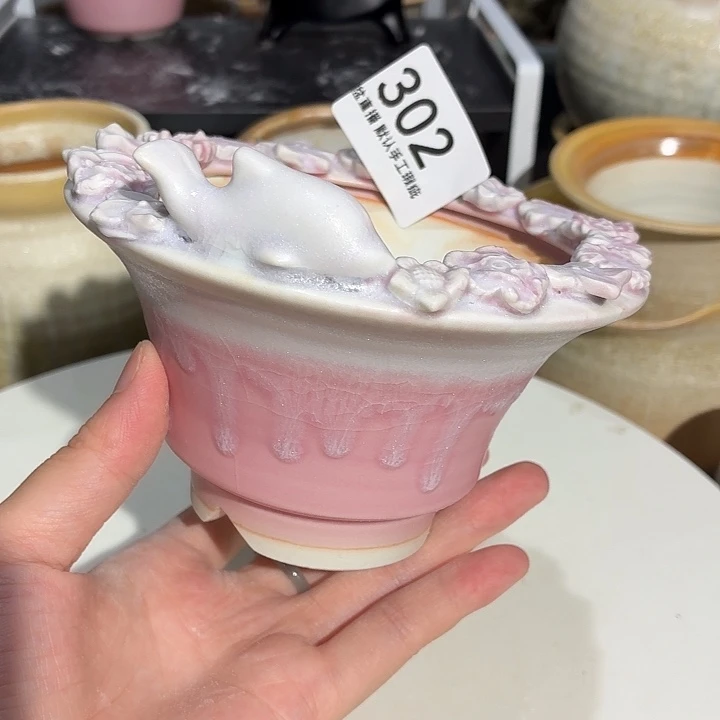 萝**科花盆花盆花盆花盆