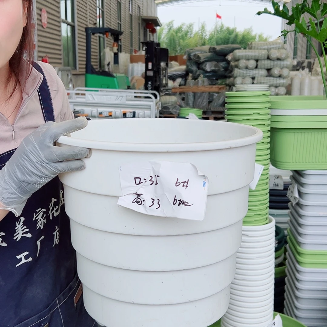 多孔盆6#白色3个无托