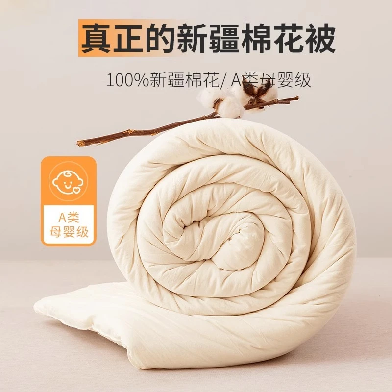 天竺彩棉手工棉花加厚被罩内胆A类冬季被单人双人厚被0993