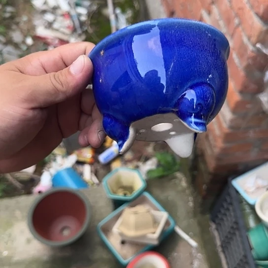不去看书啊哈是真的想