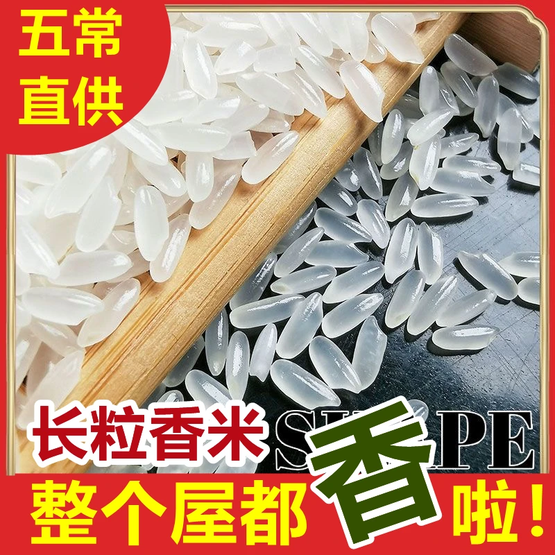 五常大米 臻品长粒香米 2025年新米 东北黑土地大米10斤装大米
