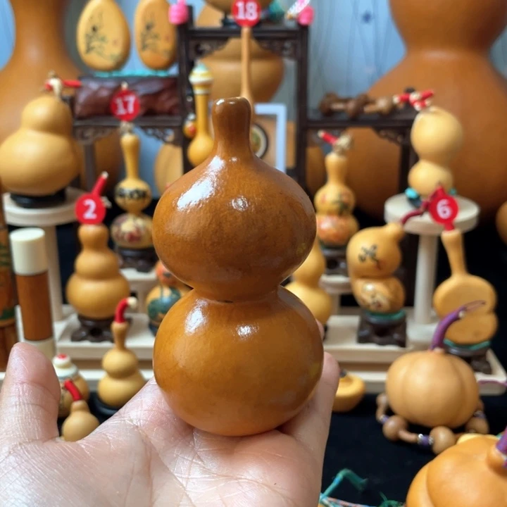 ****梦葫芦岛市、哈佛医学院一