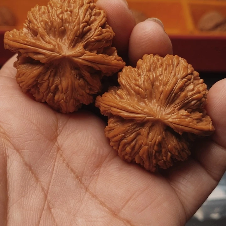 核桃密纹40尺核桃