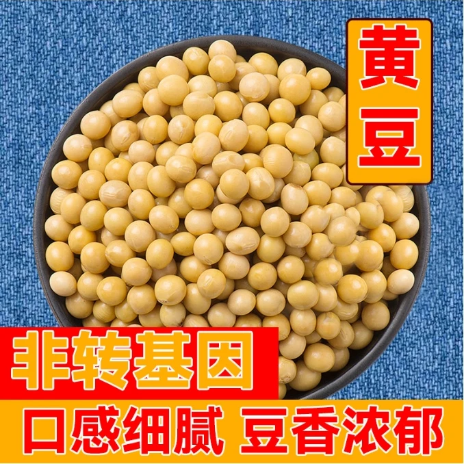 【到手3斤】黄豆小农家大豆生豆芽打豆浆专用豆子