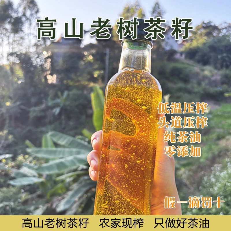 头道压榨山茶油 纯茶油  农家土榨山茶油