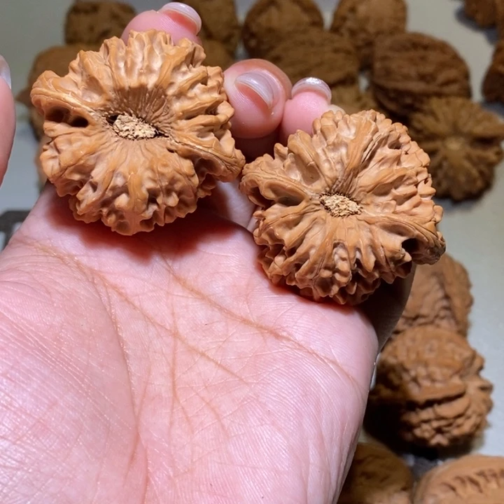 :***D核桃手串/手链龙门