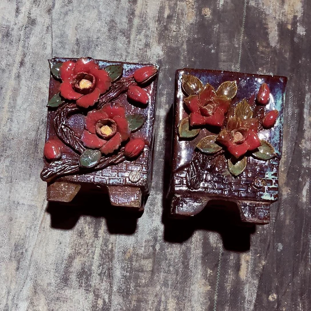 法师多肉哈哈哈哈