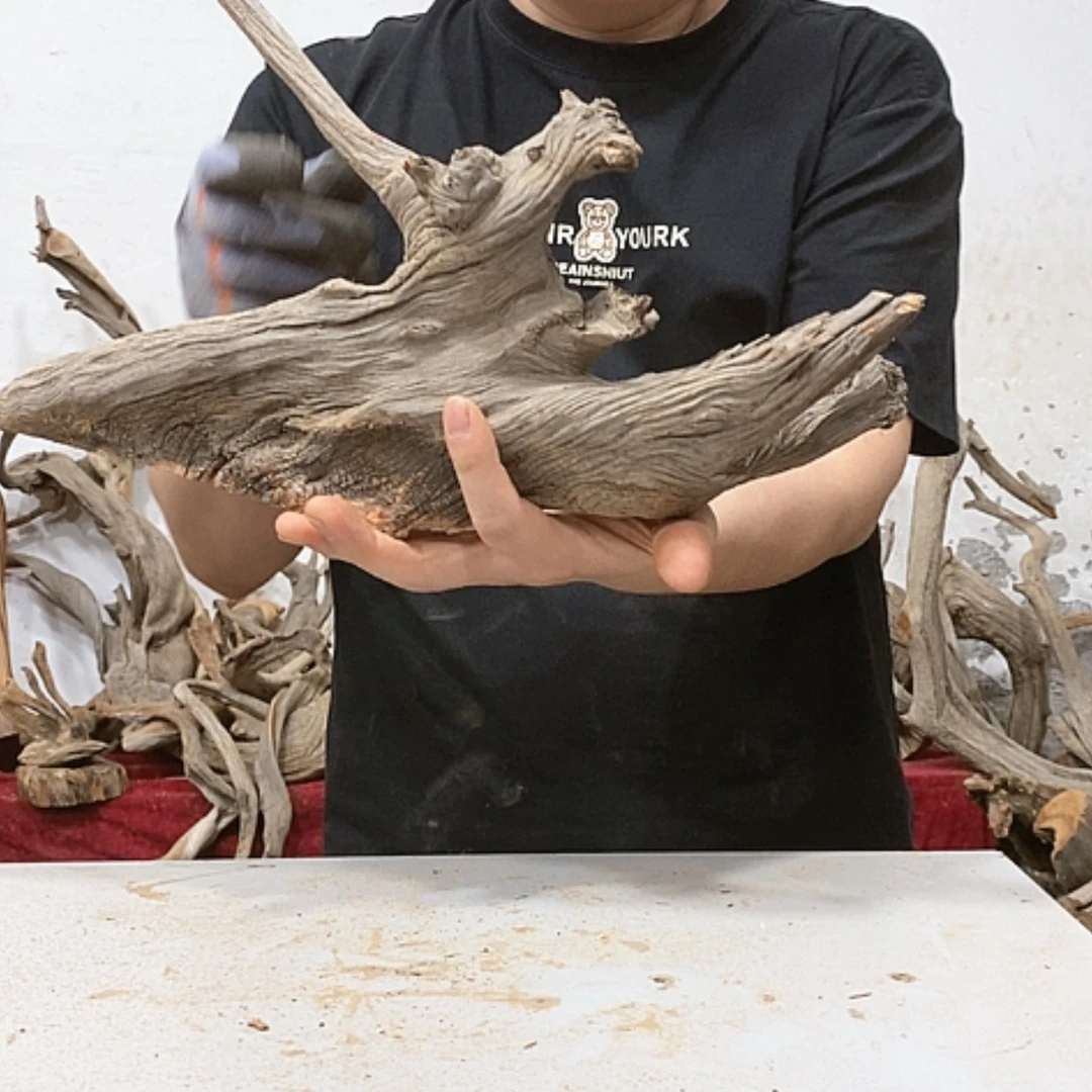 【闪购商品】柏木不****柔我们都是好孩子