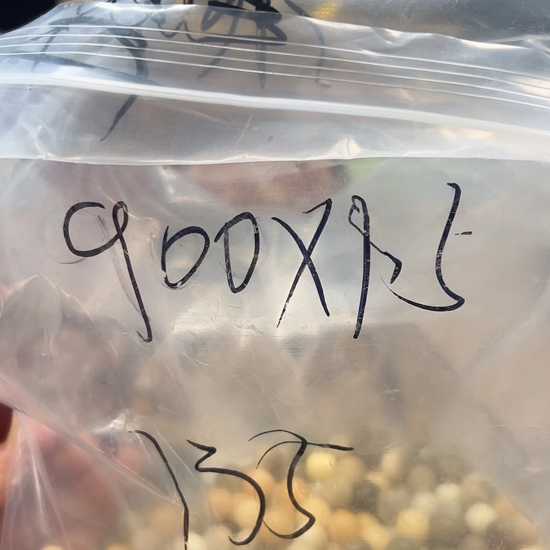 想***方手串菩提根/象牙果卡12老料飘花桶900颗