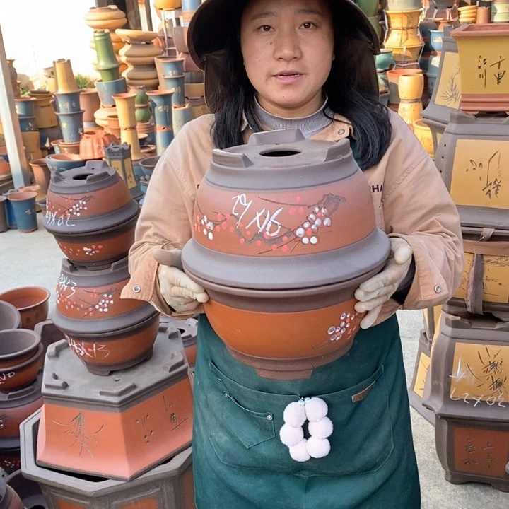 紫砂花盆盆栽花卉苗木种植