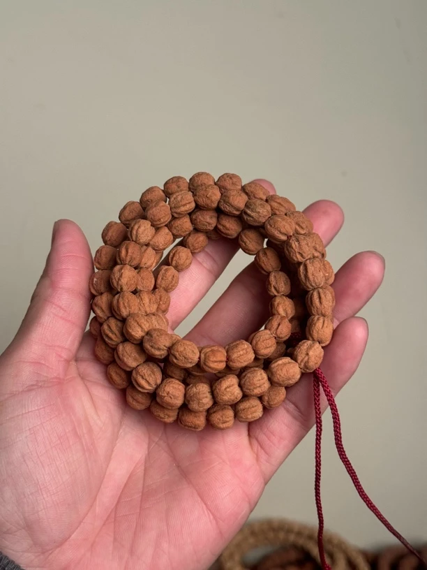 热振柏香籽红芽红皮纯原桩108