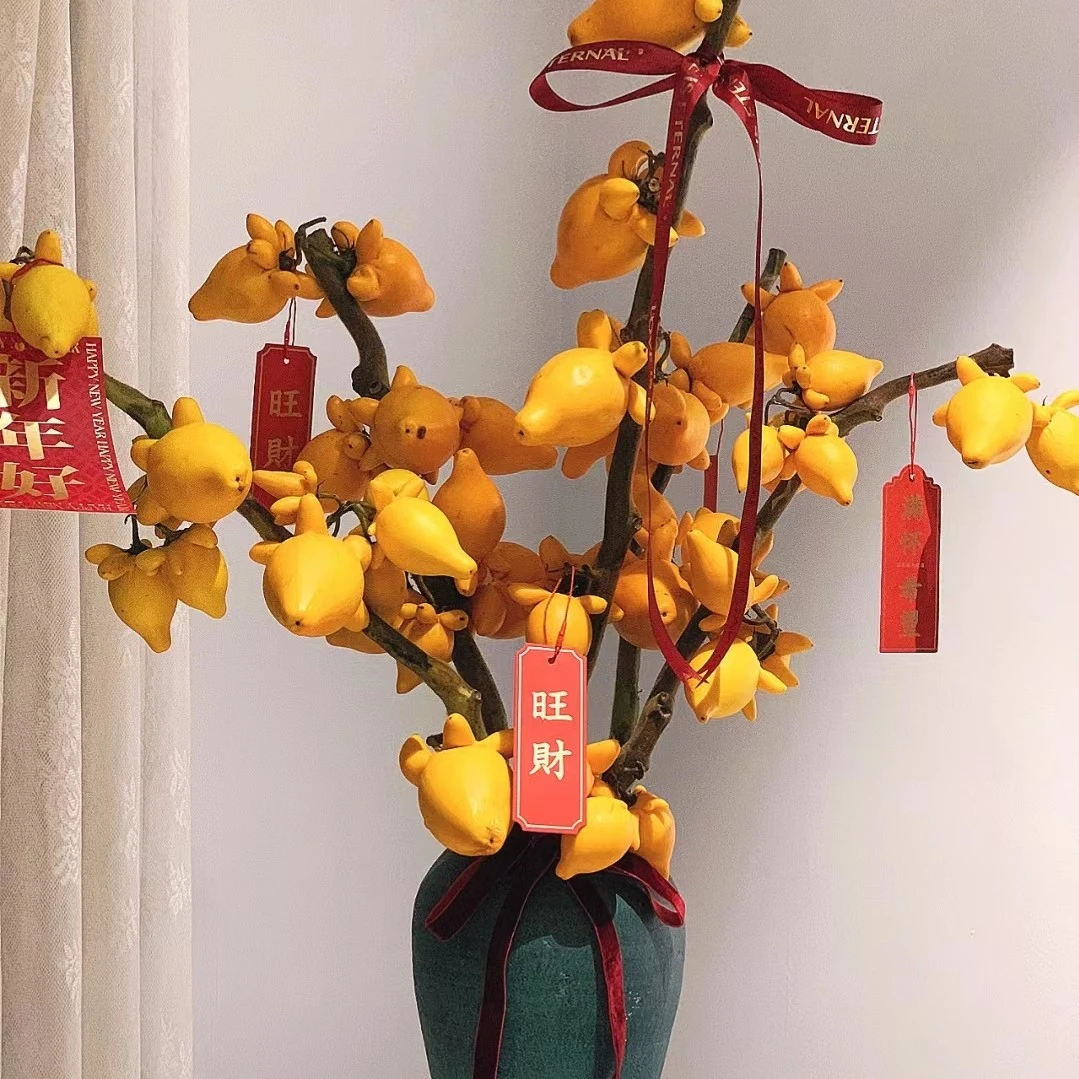 黄金【发财果】60 公分高度 花期长 可水养或干放 山东日照基地源头直发