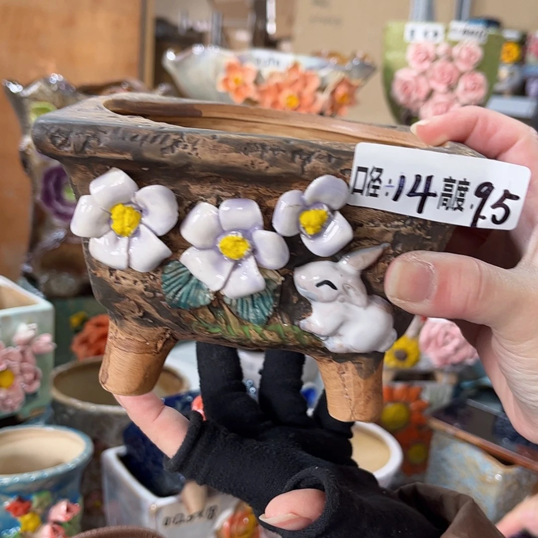 【闪购商品】红陶福利