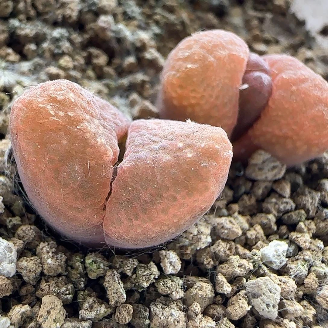 哈哈哈哈哈哈哈45378