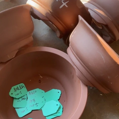 紫砂花盆100-5。33.5-14