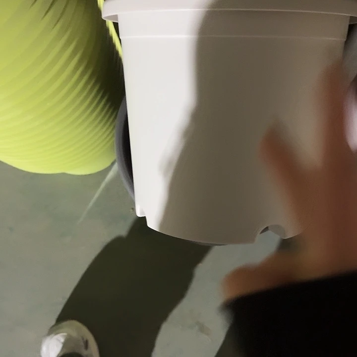 四季4号灰白无托10个特价微瑕