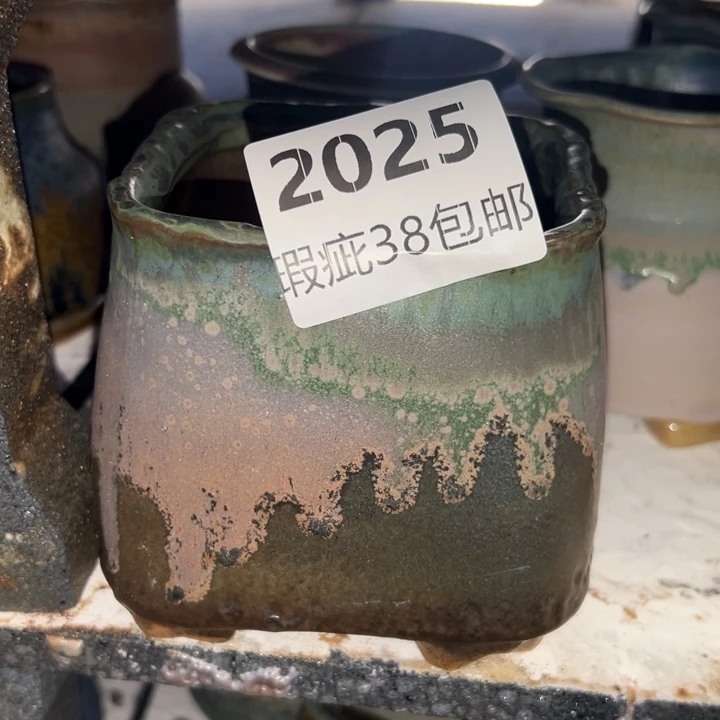 平***树厂家直销瑕疵福利38包邮