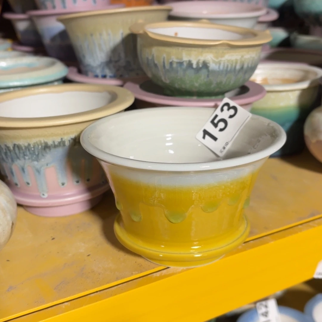 景德镇多肉花盆153