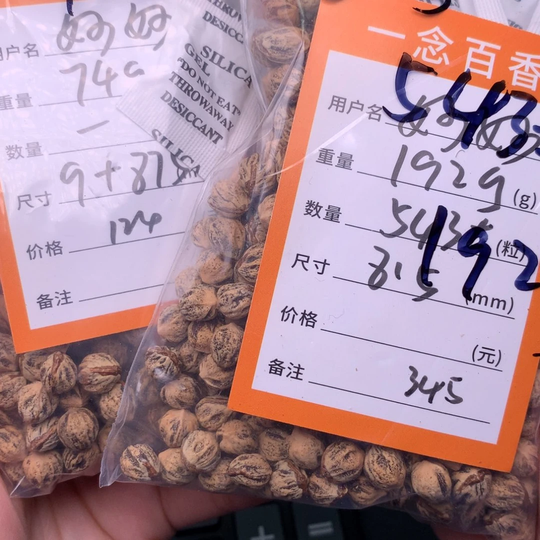 妙***都柏香籽/百香籽吊坠