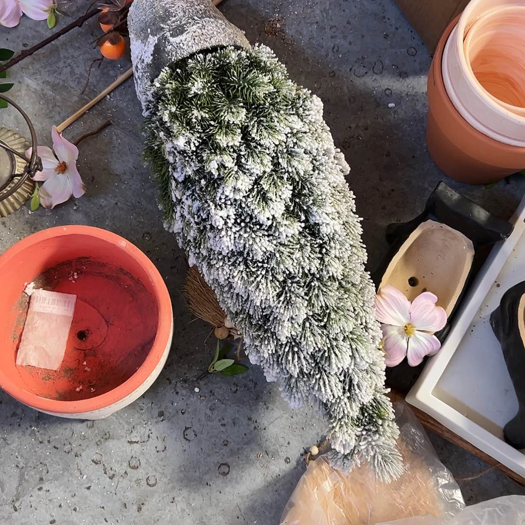 抖音直播瑕疵一个