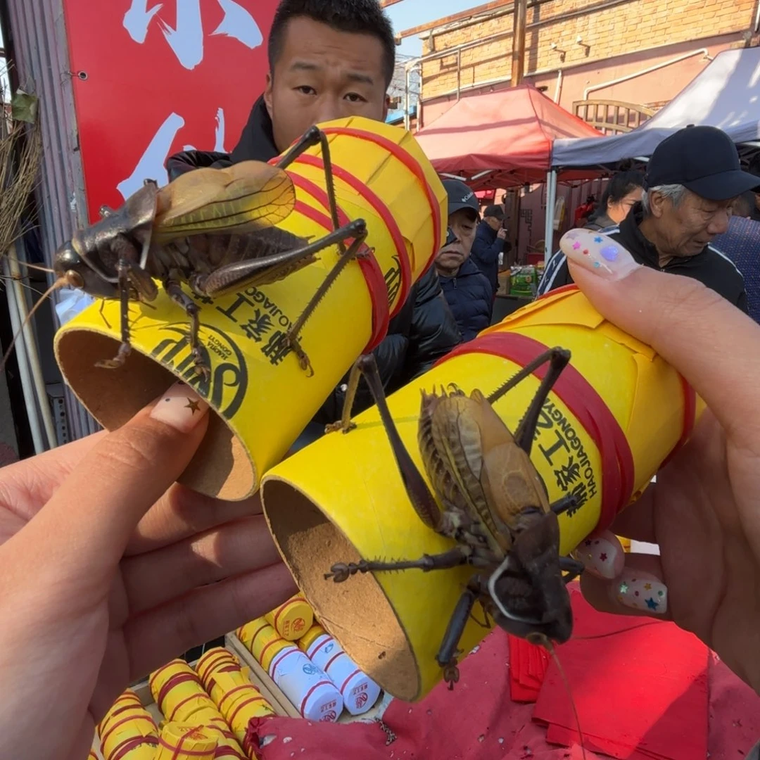 *****蝈蝈蝈蝈福福价格