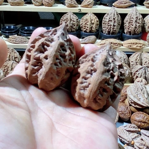 文玩核桃把件b**x出筋