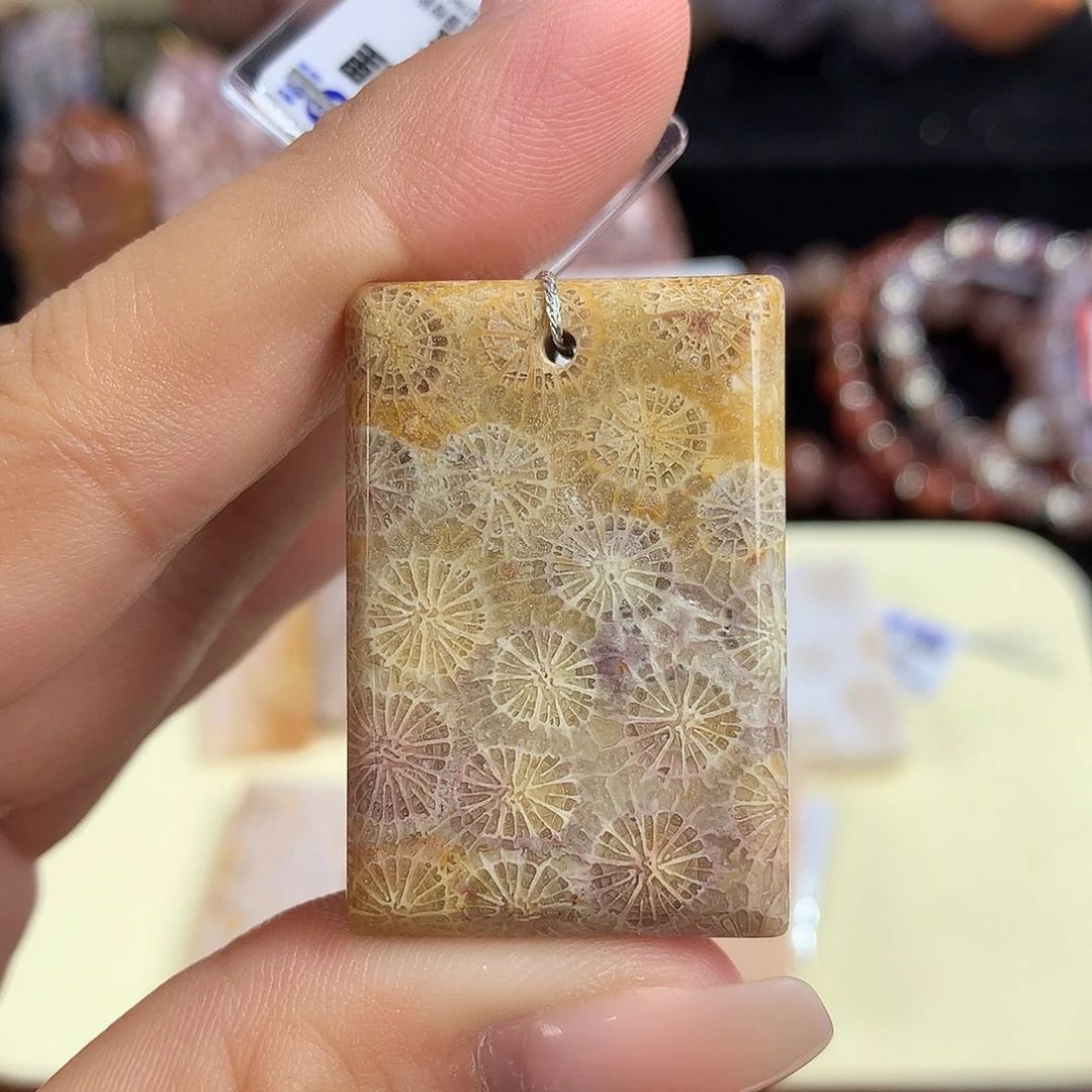 吊坠(赠链)未镶嵌硅化珊瑚（珊瑚玉）2号上新吊坠