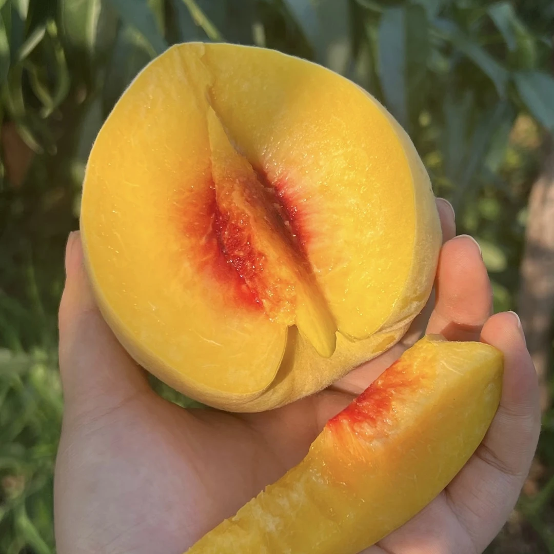 【绿色食品】奉贤锦绣黄桃