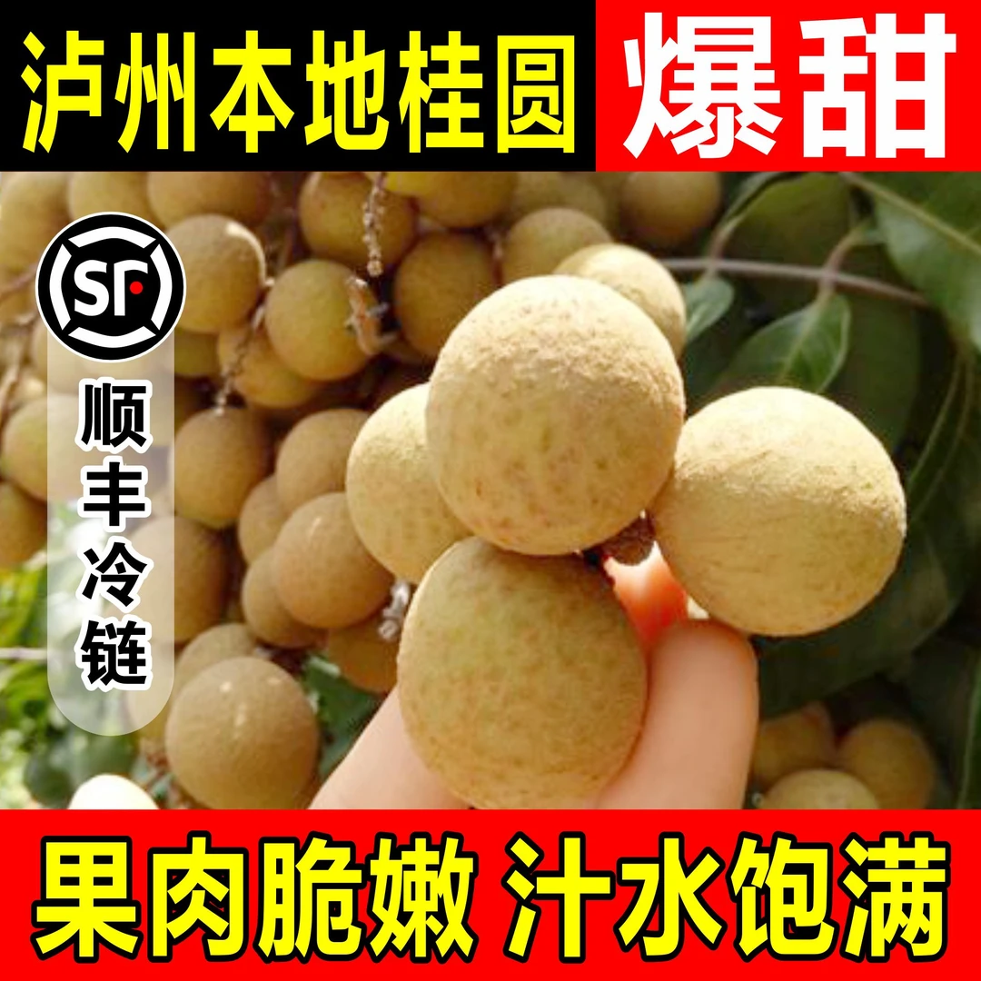 【泸州桂圆本地土桂圆】京东纸箱老树桂圆新鲜采摘龙眼10斤桂圆味足