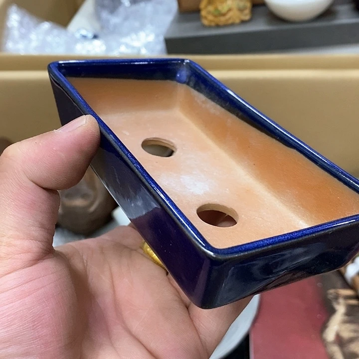 发发发发发发发发发发发