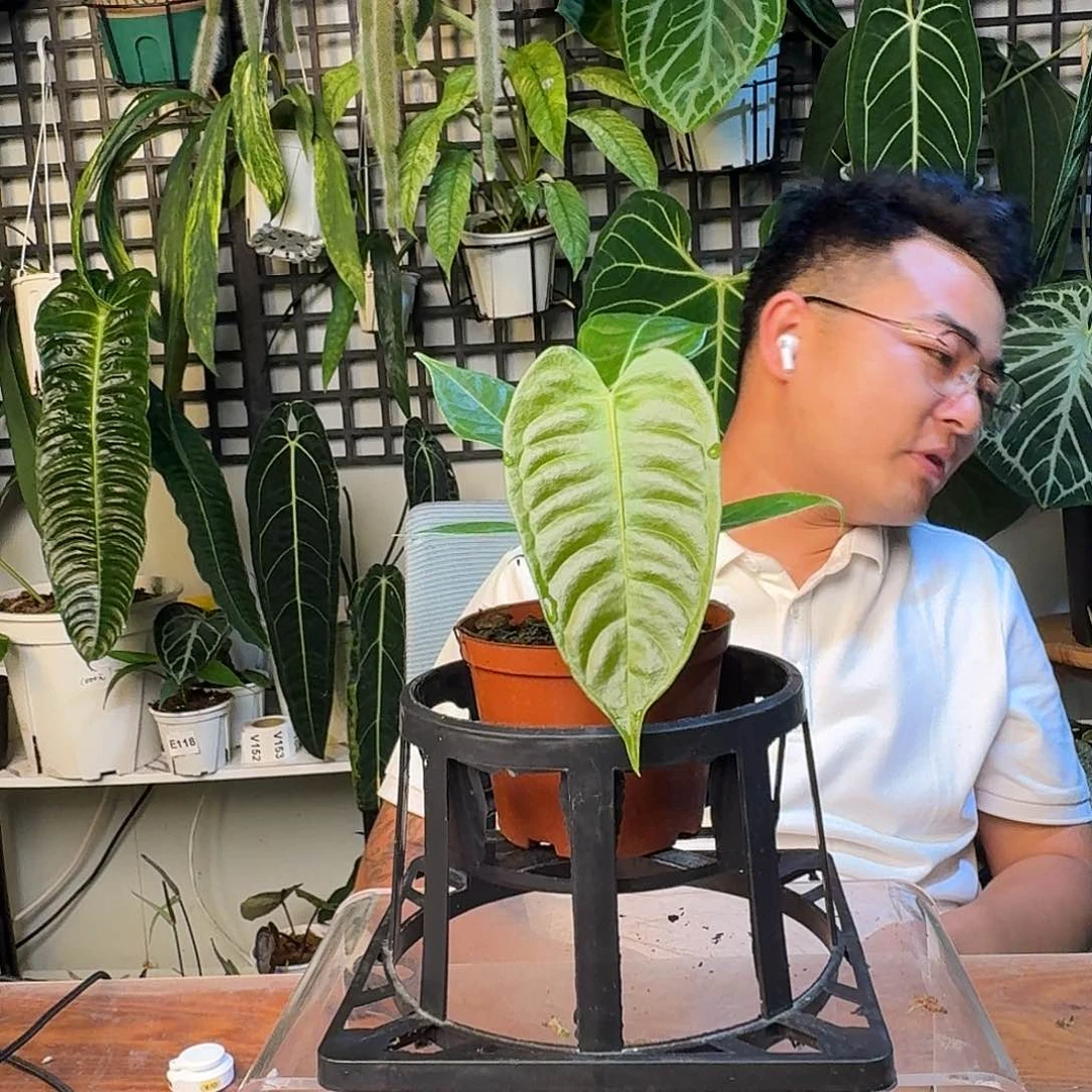 无花朵我*~一物一拍G131
