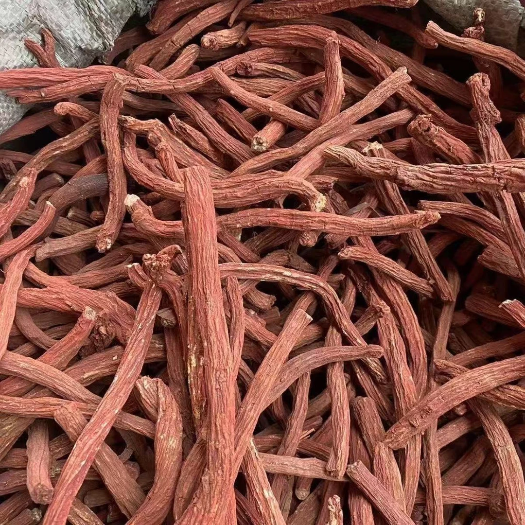 【丹参条】野生丹参整条 正宗云南高山山货