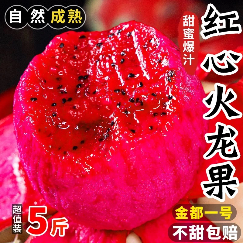 ［自家果园］产地新鲜红心火龙果现摘现发鲜甜多汁应季水果
