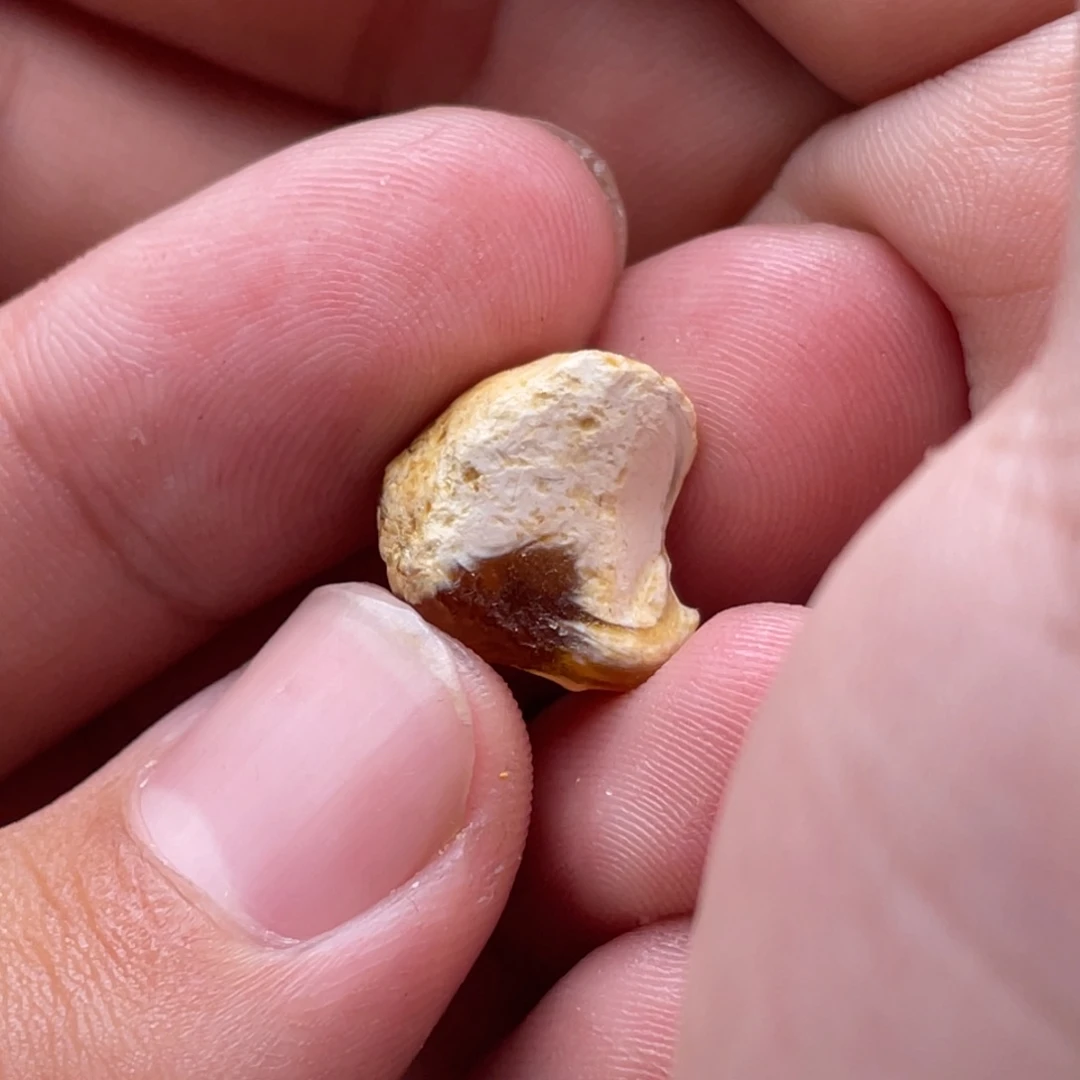 定制琥珀未镶嵌?**秒蜜蜡