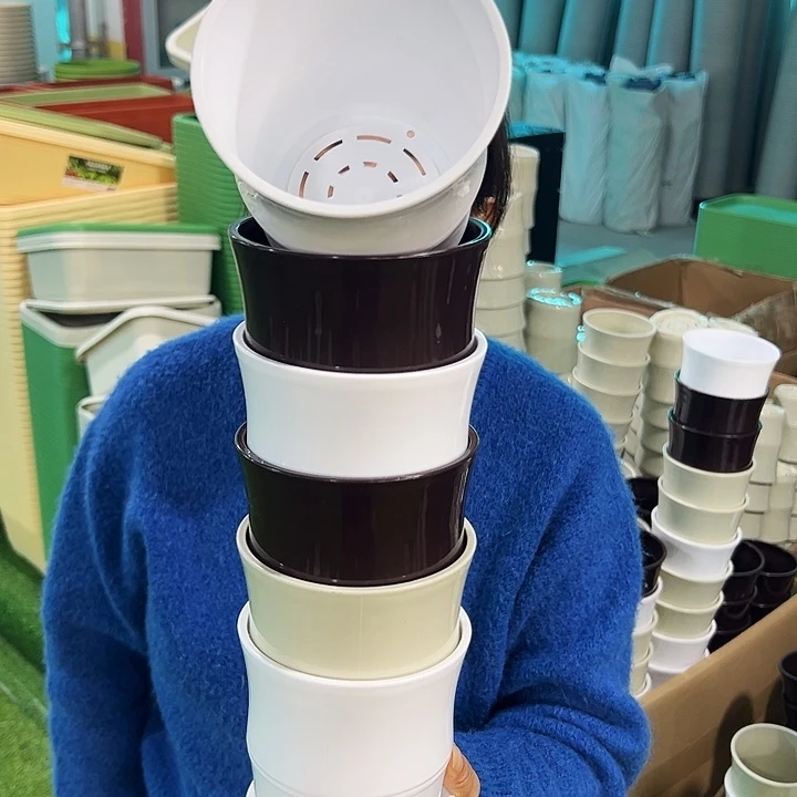 特价竹节口11.5高12白色带托6只