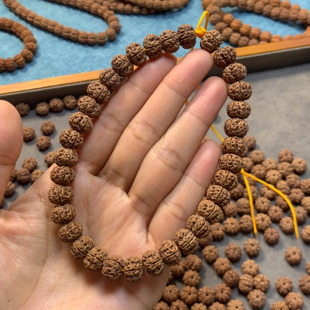 手串金刚菩提老树梅花