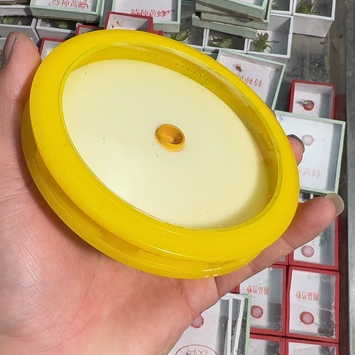 ゛***₂蟋蟀蝈蝈我在外面吃饭呢你在哪