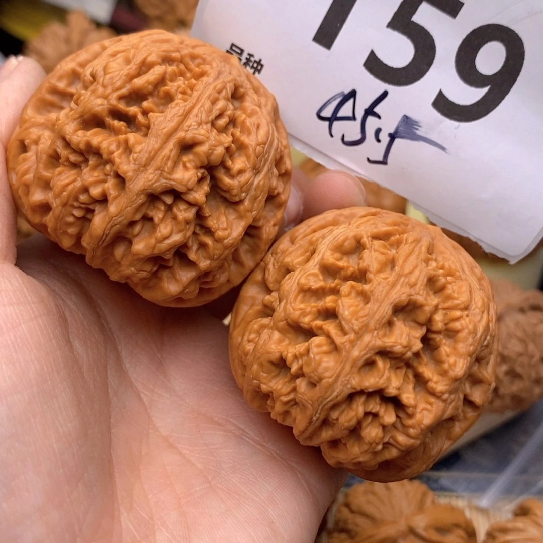 文玩核桃把件159号45.5粗筋