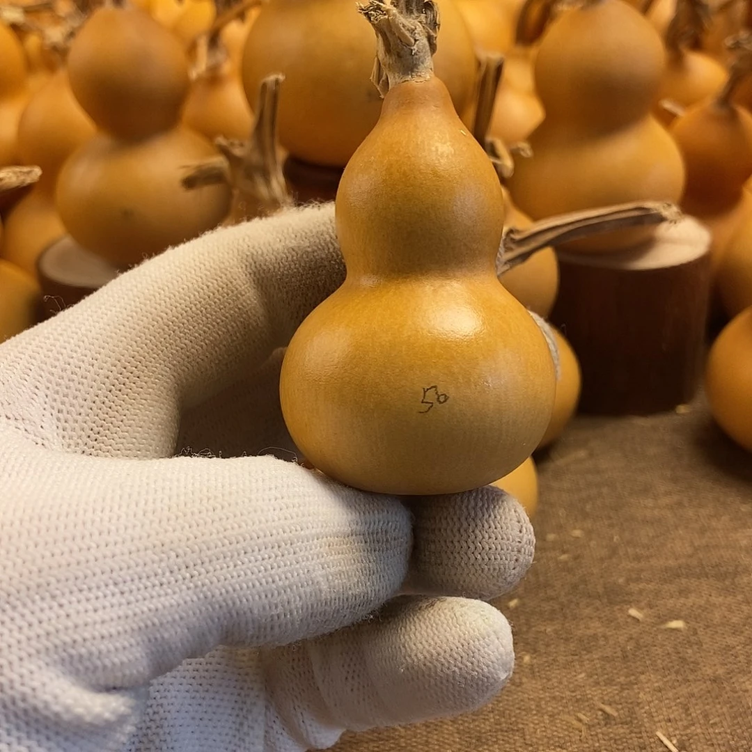 文玩葫芦 完美主义者 慎拍50