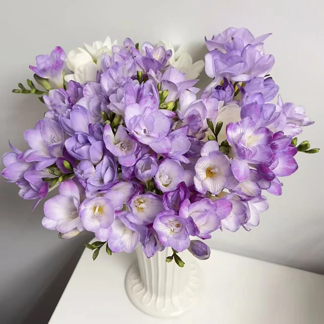 【三棵装】蓝色港湾重瓣香雪兰种球盆栽新手易养护爆花强发货快