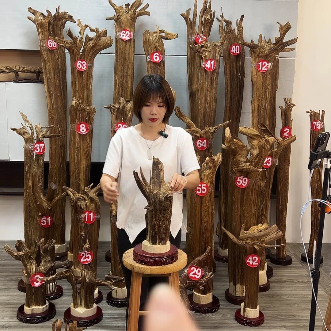 摆件沉香沉香摆件