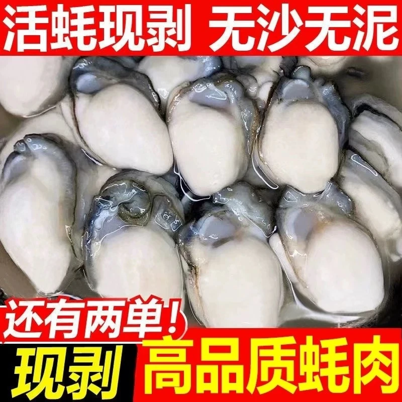 新鲜生蚝肉现剥鲜活海蛎子肉海鲜水产去壳特大生蚝牡蛎肉