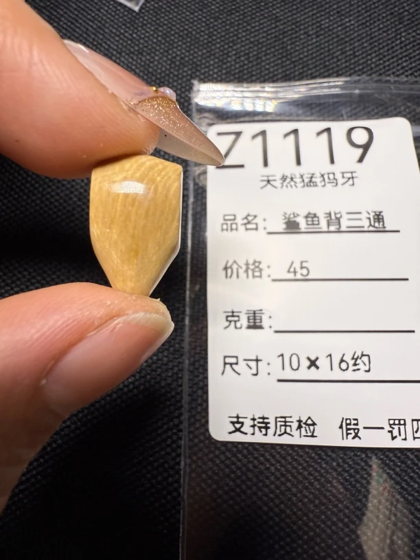 Z1119天然猛犸牙鲨鱼背三通配饰
